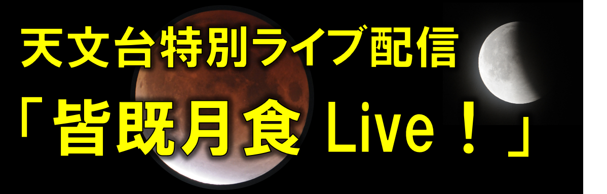ライブ配信リンク