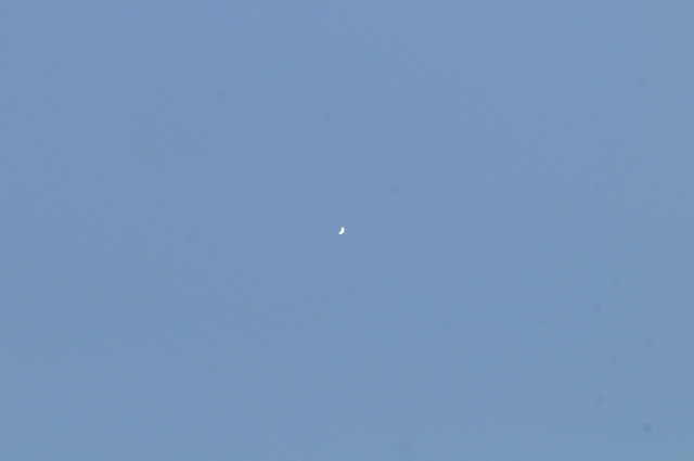 青空の中の金星(1200mm直焦点)
