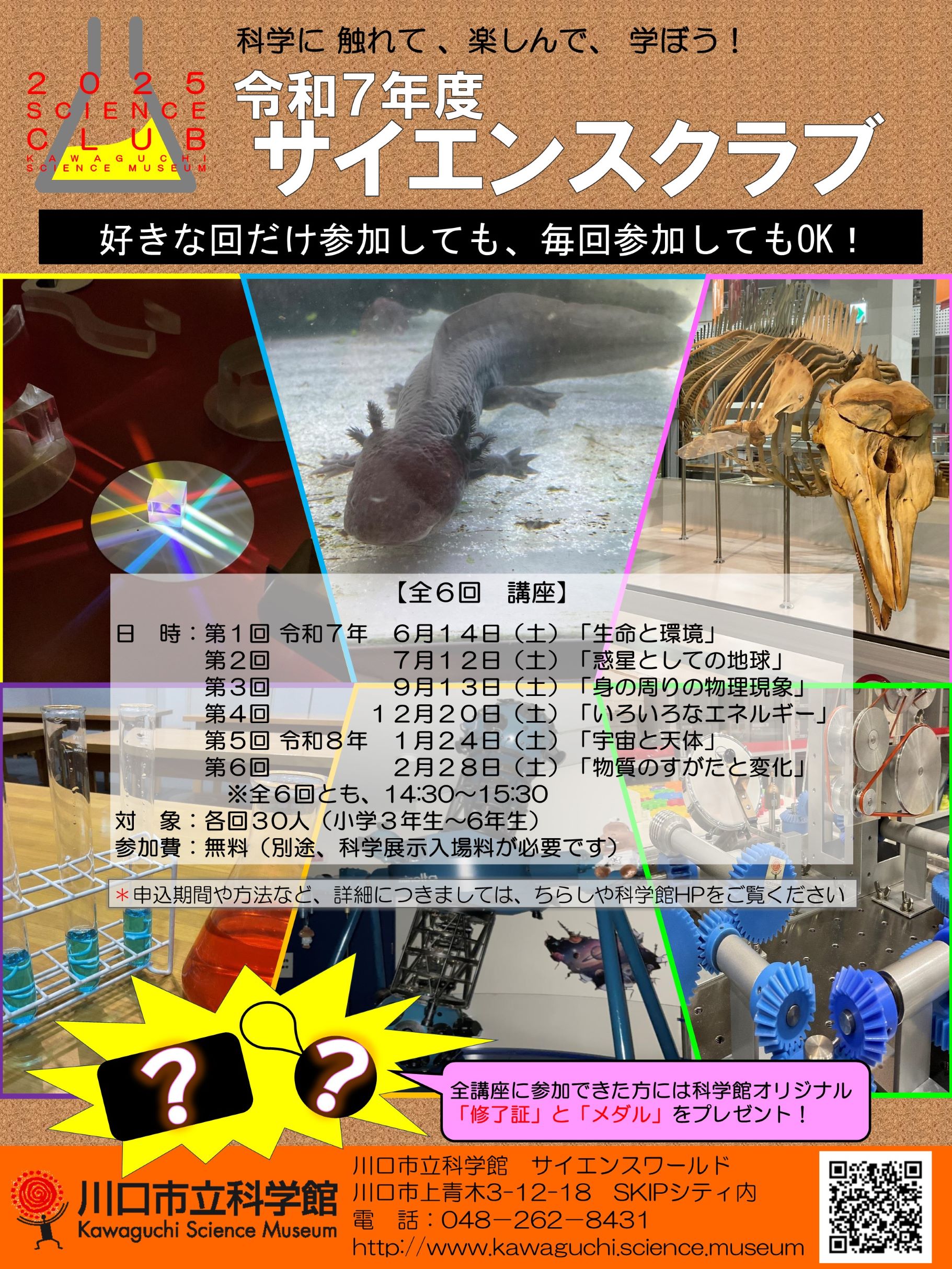 令和6年度サイエンスクラブ