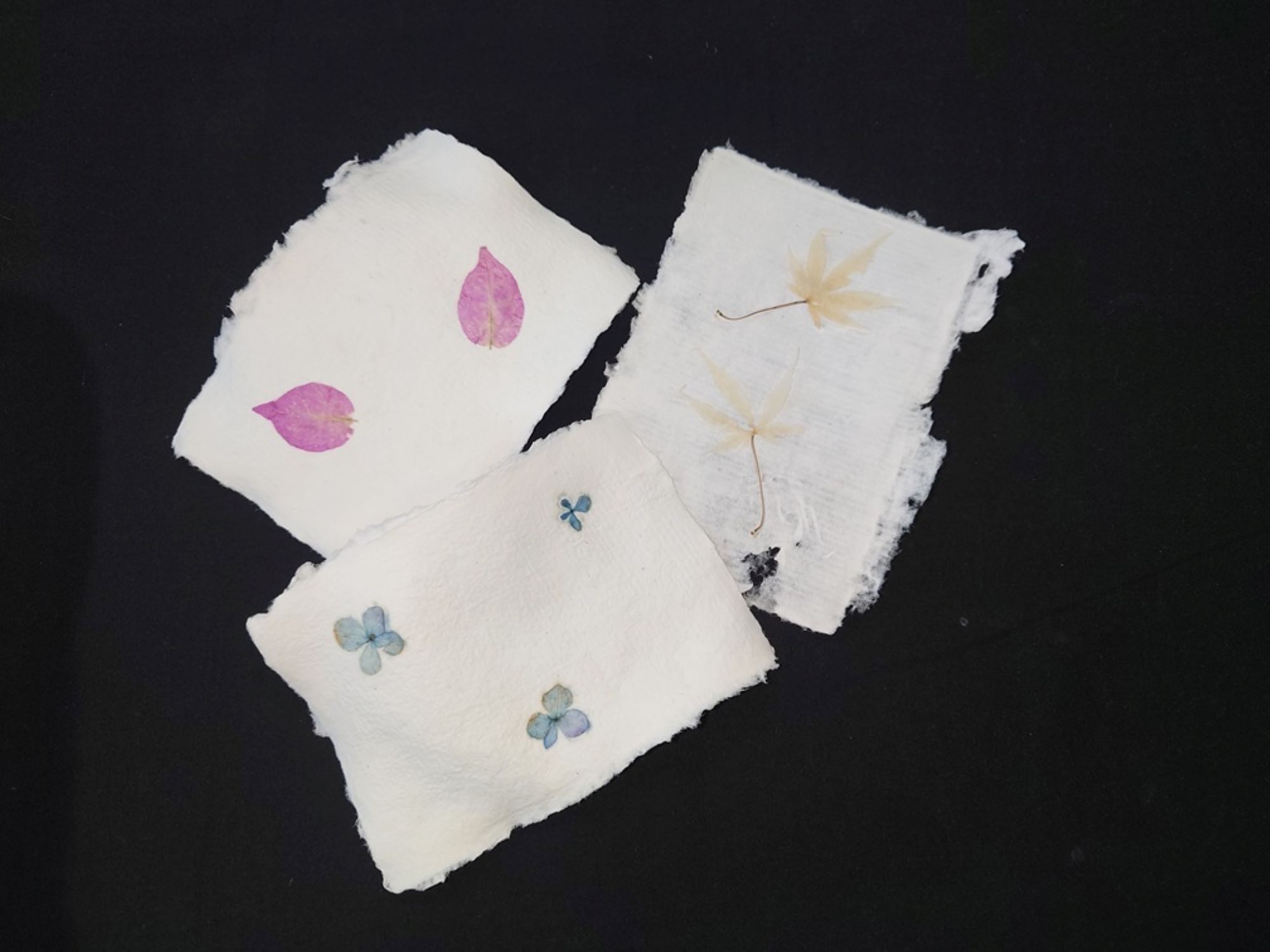 人と地球にやさしい紙づくり