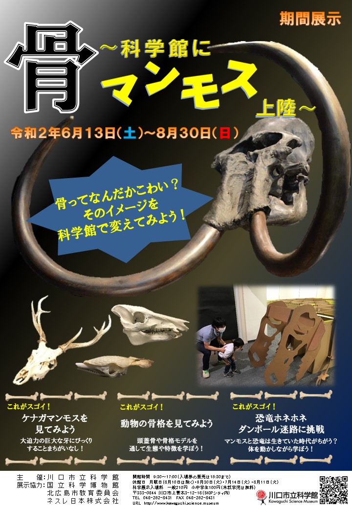 期間展示「骨~科学館にマンモス上陸~」