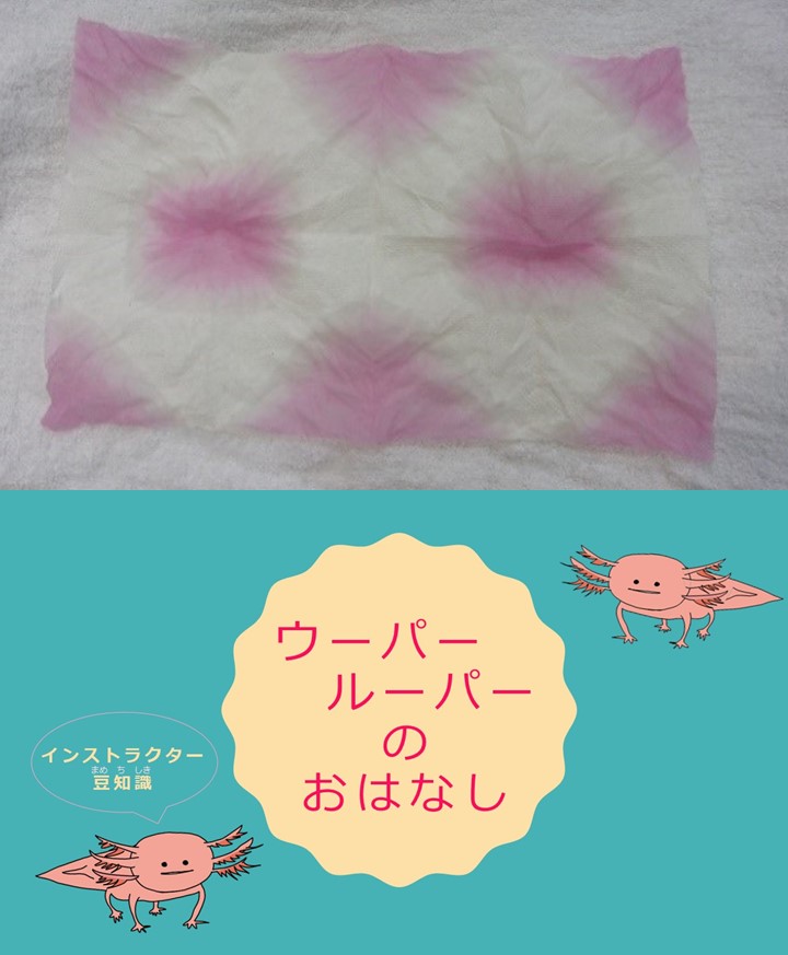家でもチャレンジ!学習支援コンテンツ